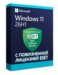 Windows 2010