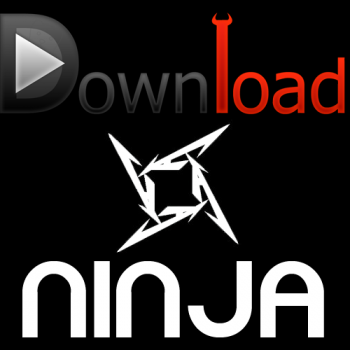 Ninja Download Manager Free  программа-загрузчик