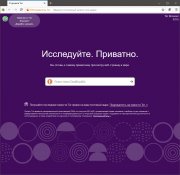 Tor Browser Bundle скачать