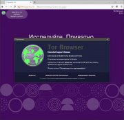 Tor Browser Bundle установить