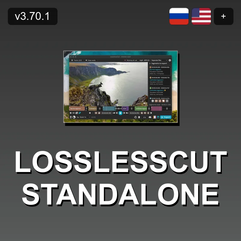 LosslessCut Standalone